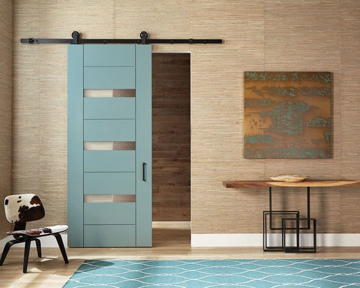 teal modern barn door