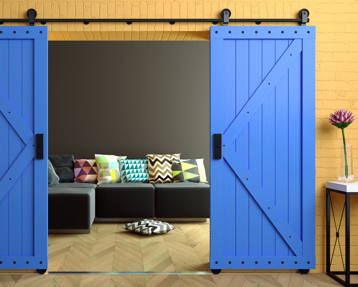 Do Barn Doors Only Work in Rustic Style Homes?