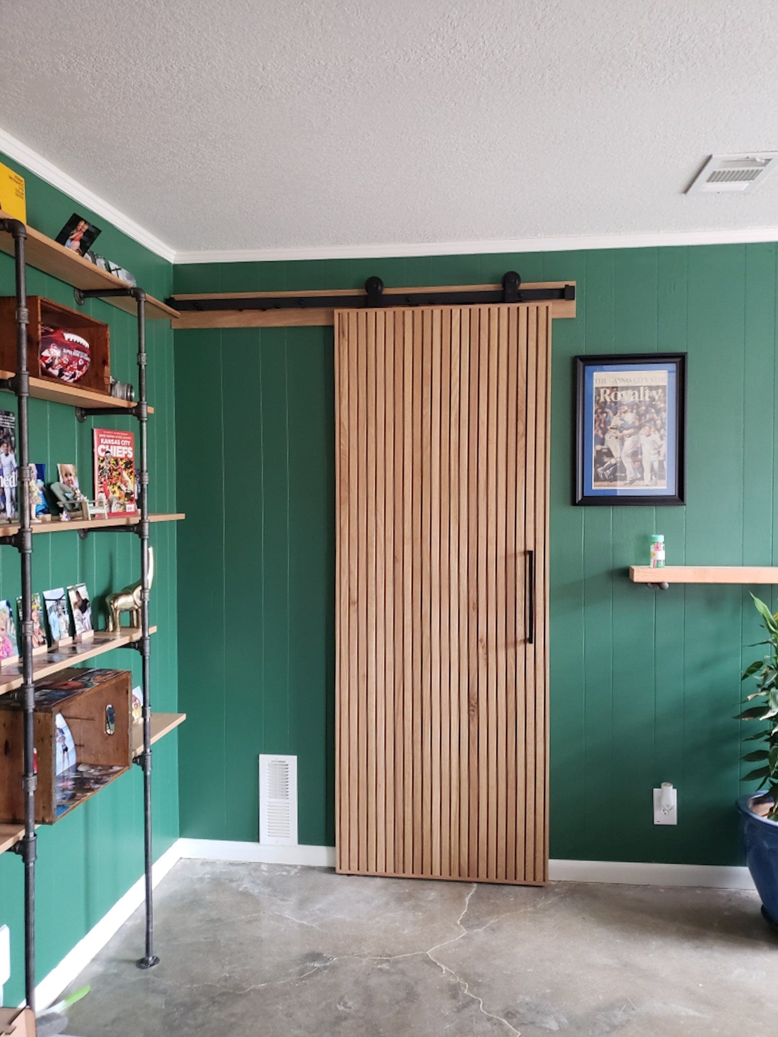 Modern Slat Door